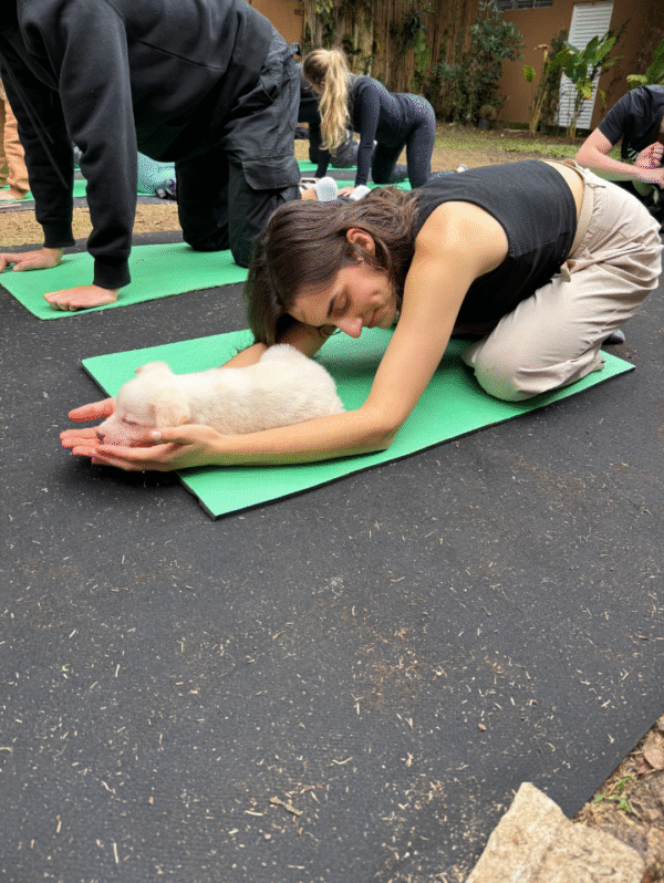 Puppy & Yoga Curitiba - Imagem 2