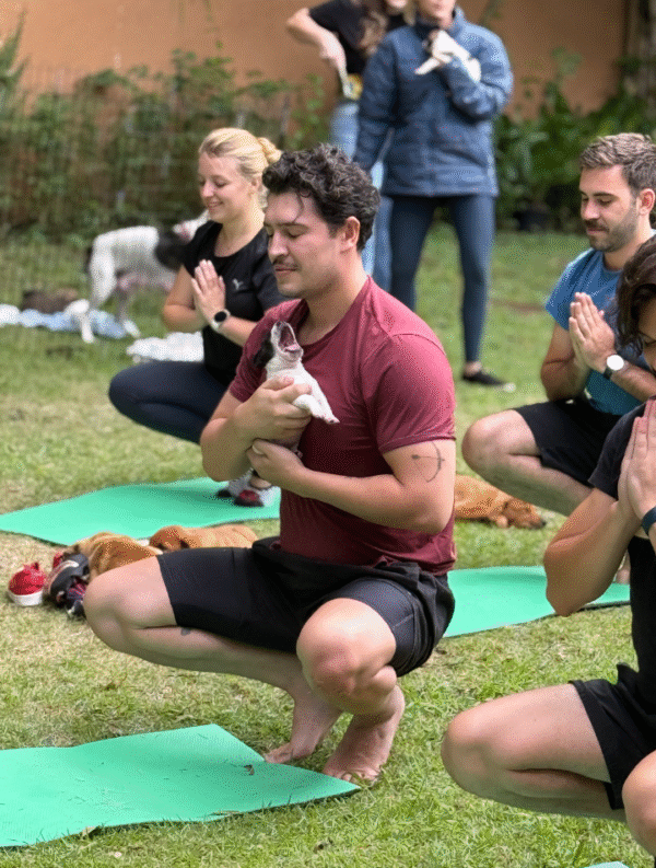 Puppy & Yoga Curitiba - Imagem 4