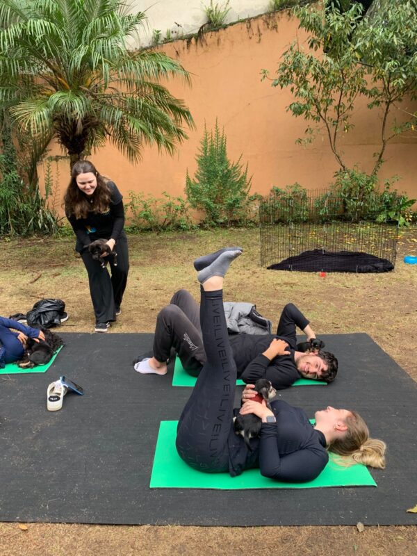 Puppy & Yoga Curitiba - Imagem 5