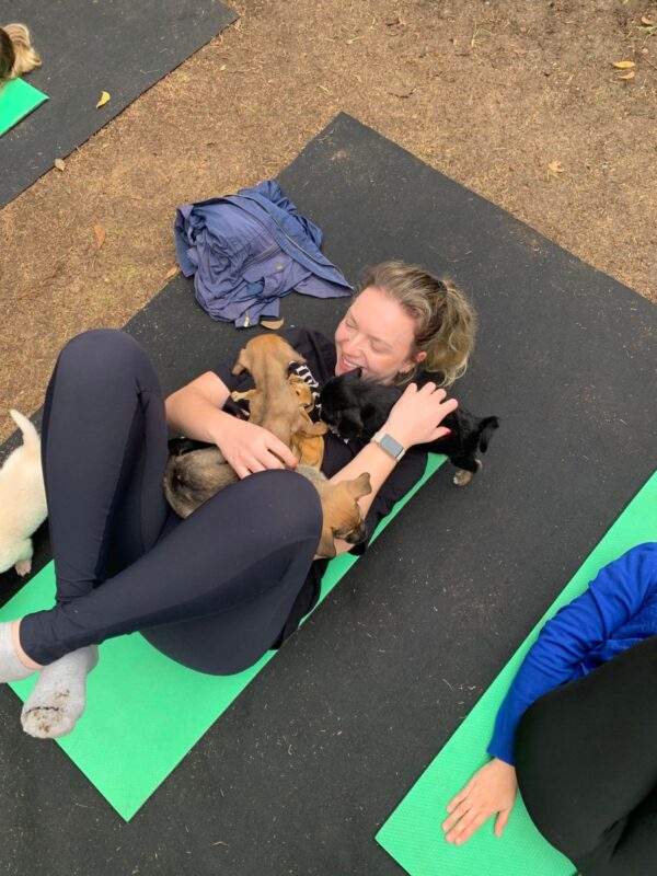 Puppy & Yoga Curitiba - Imagem 6